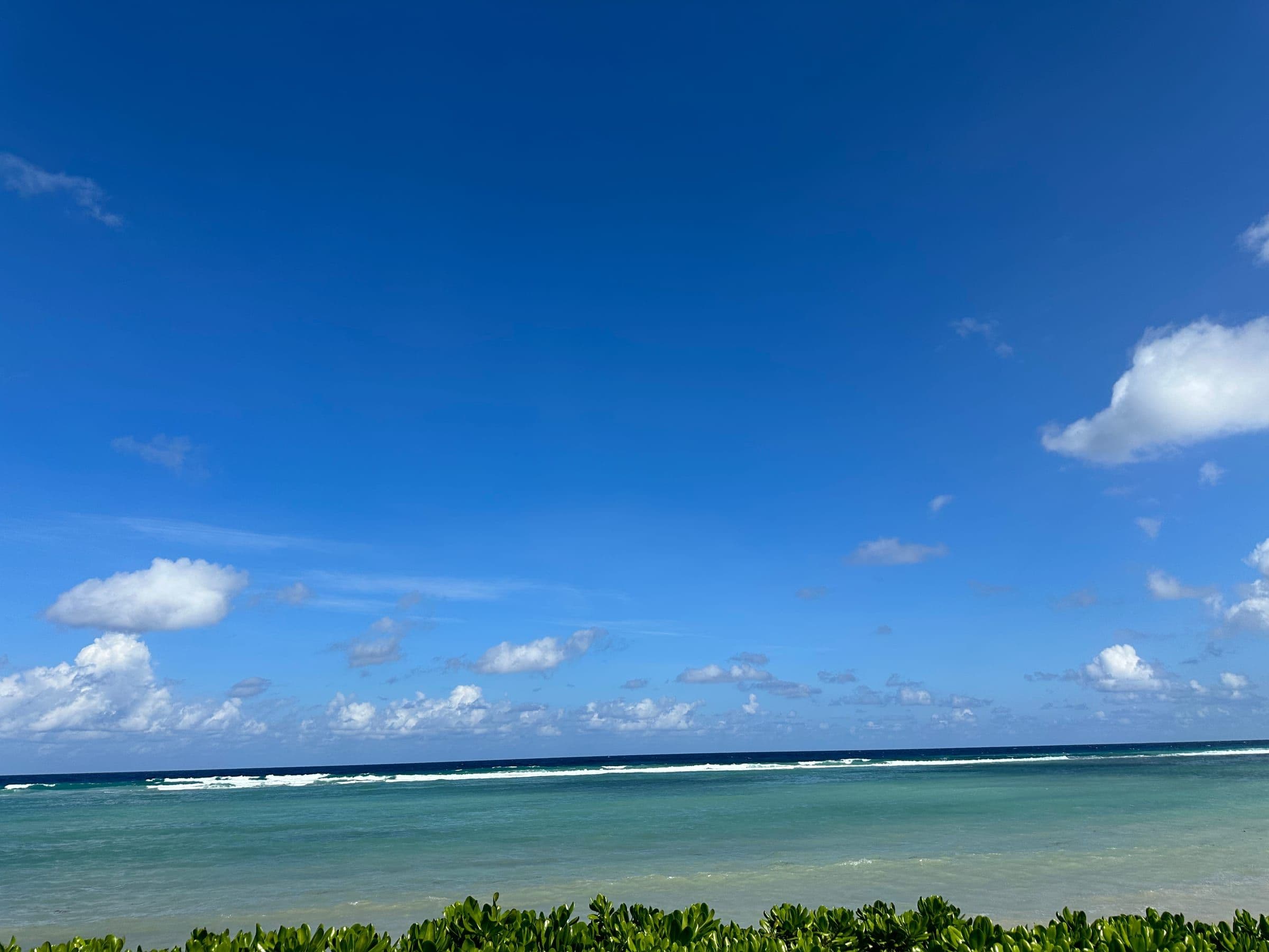 The view from Rum Barron. Reef breaking on the horizon, shrubs in the foreground, deep Caribbean sky.